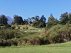 IMG_20240311_153016