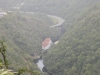 DSCN6593