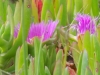 DSCN6632