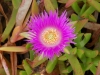 DSCN6636