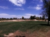 t11