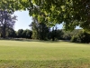 T13green