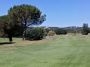 T4green