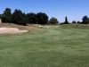 T5green