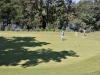 T7green