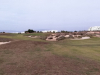 alha16green