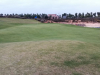 alha4green