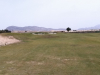 alta15green
