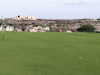 alta16green
