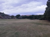 T12GREEN