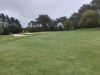 t13green