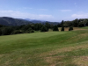 T16GREEN