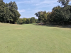 T1GREEN