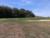 T9GREEN
