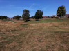 T11GREEN
