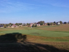 T1GREEN