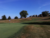 T5GREEN