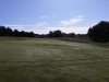 T8GREEN