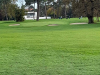 T18