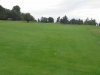 t1suite