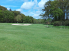 t10green