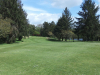t8green
