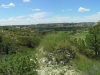 t16pan