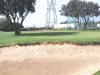 11green