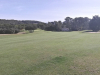4green