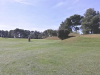 7green