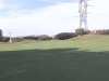 9green