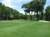 t18bis