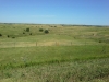 Kansas