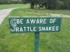 serpents