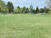 T18