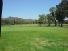 t15green