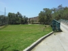 t18green