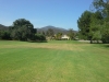 t2green