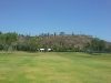 t8green