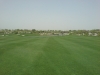 t2green