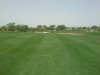 t5green