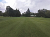 T14GREEN