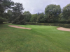 T15GREEN