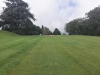 T2GREEN