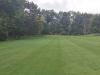 T4GREEN