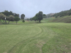 T1green