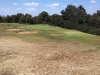 T10GREEN