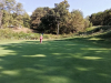 T17GREEN