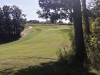 T1GREEN