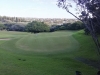 t1green